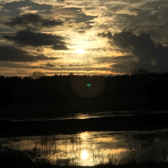 Meet your Posher, Olivia - Picture 1 of 1